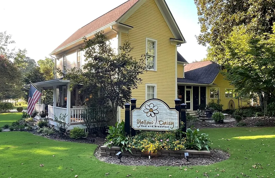 Yellow Daisy Bed And Breakfast-1